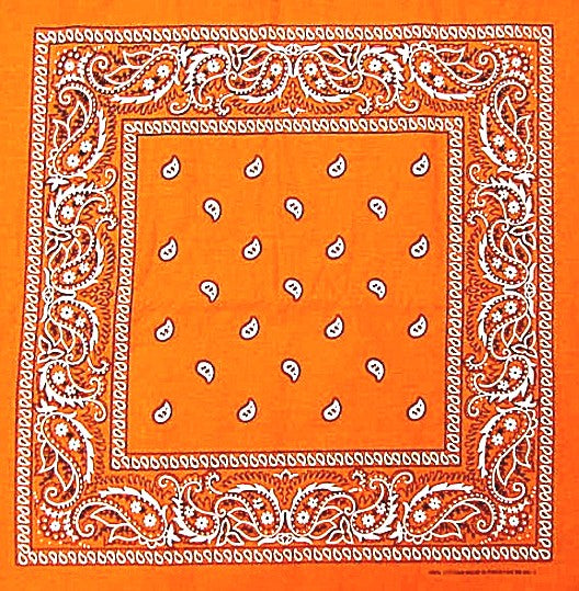 https://www.bewild.com/cdn/shop/products/bandanas-orange-paisley-bandana-1.jpg?v=1506417234