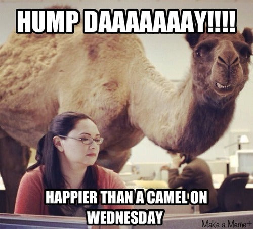 hump day commercial mike